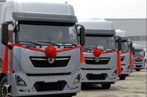 驅(qū)動未來 新能源商用車如何重塑卡車與客車產(chǎn)業(yè)生態(tài)